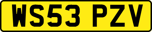 WS53PZV