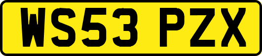 WS53PZX