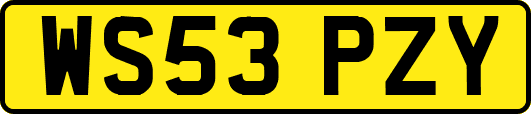 WS53PZY