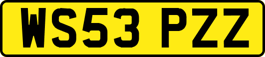 WS53PZZ