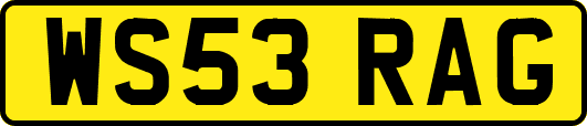WS53RAG