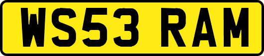 WS53RAM