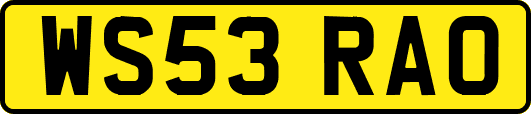 WS53RAO