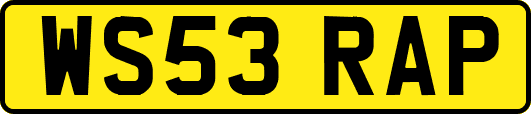 WS53RAP