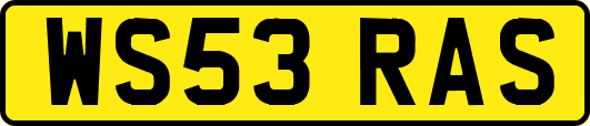 WS53RAS