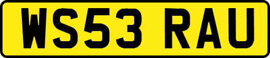 WS53RAU