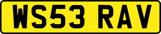 WS53RAV