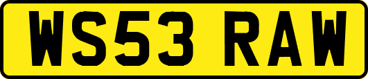 WS53RAW