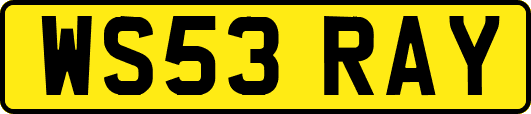 WS53RAY