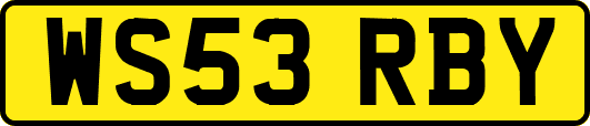 WS53RBY