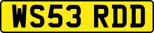 WS53RDD