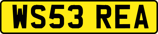WS53REA