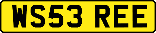 WS53REE