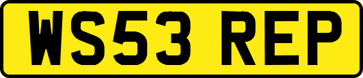 WS53REP