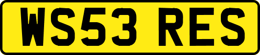 WS53RES