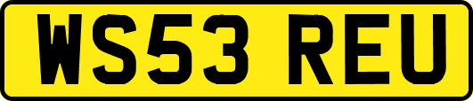 WS53REU