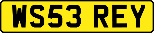WS53REY