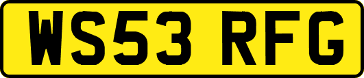 WS53RFG