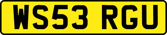 WS53RGU