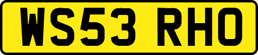 WS53RHO