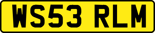 WS53RLM