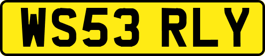 WS53RLY