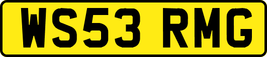 WS53RMG