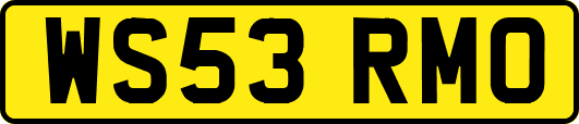 WS53RMO