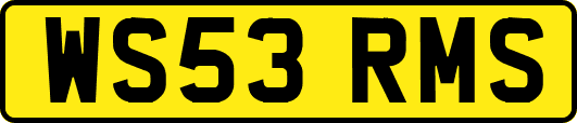 WS53RMS