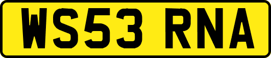 WS53RNA