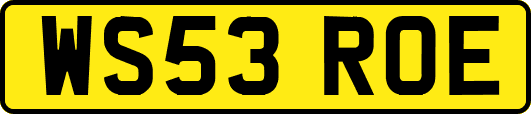WS53ROE