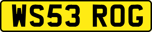 WS53ROG
