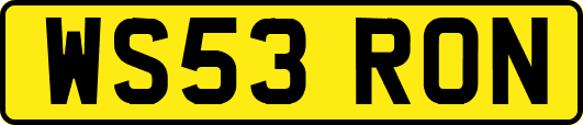 WS53RON