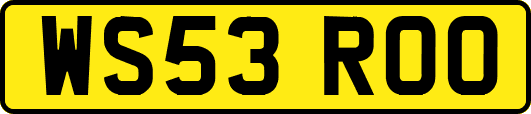 WS53ROO