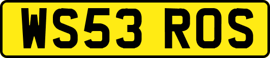 WS53ROS