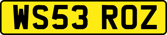 WS53ROZ