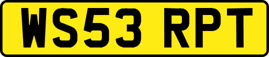 WS53RPT