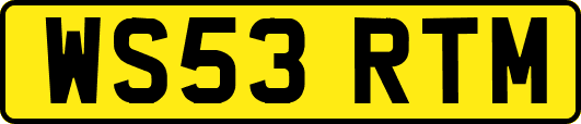 WS53RTM