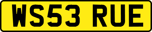 WS53RUE