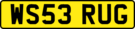 WS53RUG