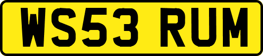 WS53RUM