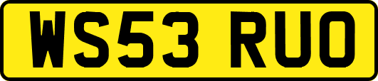 WS53RUO