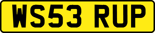 WS53RUP