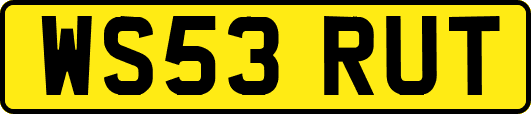 WS53RUT