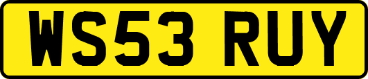 WS53RUY