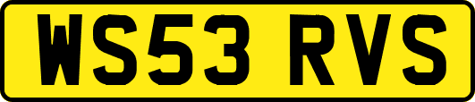 WS53RVS