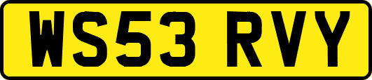 WS53RVY