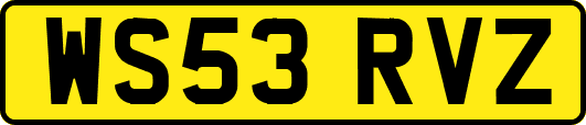 WS53RVZ