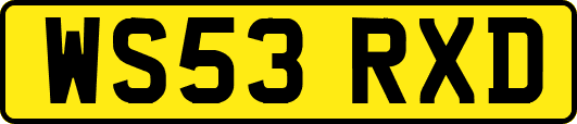 WS53RXD