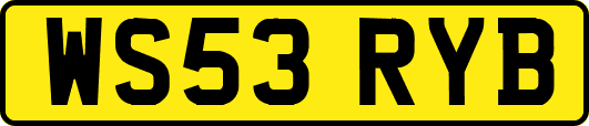 WS53RYB
